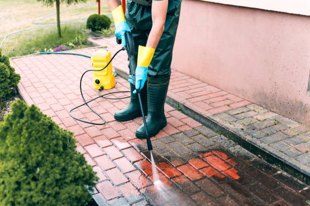 Best Solar Panel Cleaning  in Langston, OK